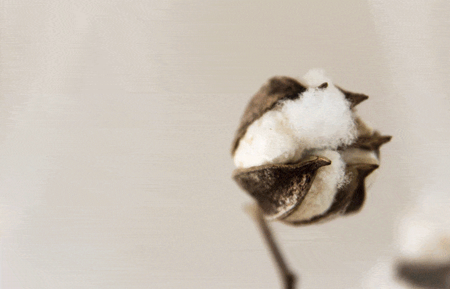 毛巾和家里毛巾有什么不一样?AG真人25 元的五星级酒店(图8) 毛巾和家里毛巾有什么不一样?AG真人25 元的五星级酒店(图8)