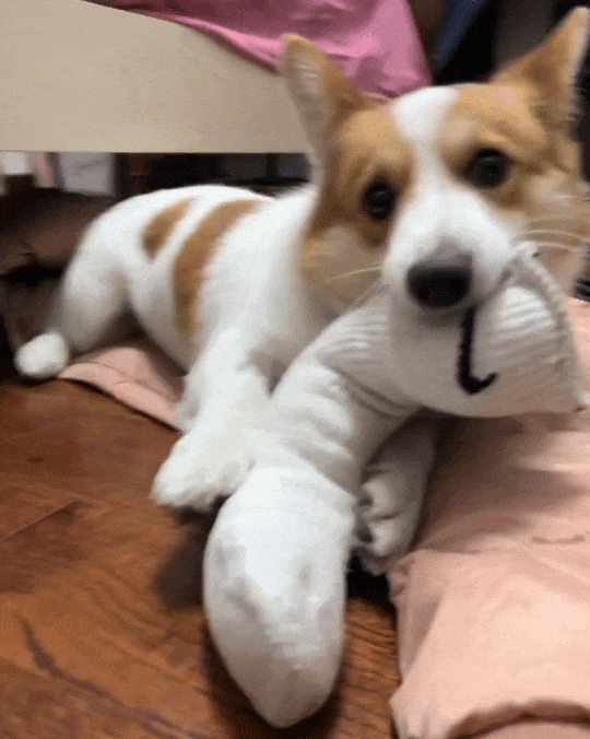 了！几千欧的东西说用就用AG真人网站也是好起来(图16)